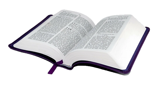 Global Self Book Publishing